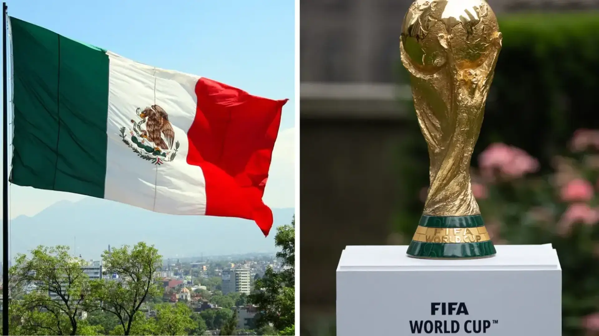 Fifa Mexico