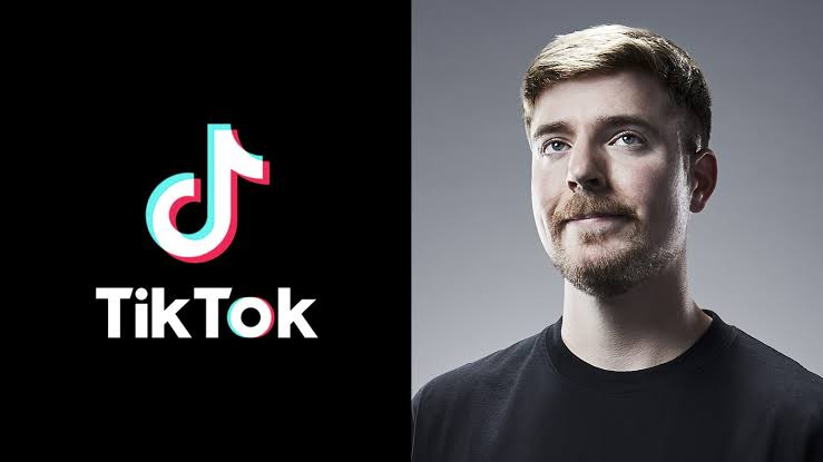 Mr Beast Tiktok